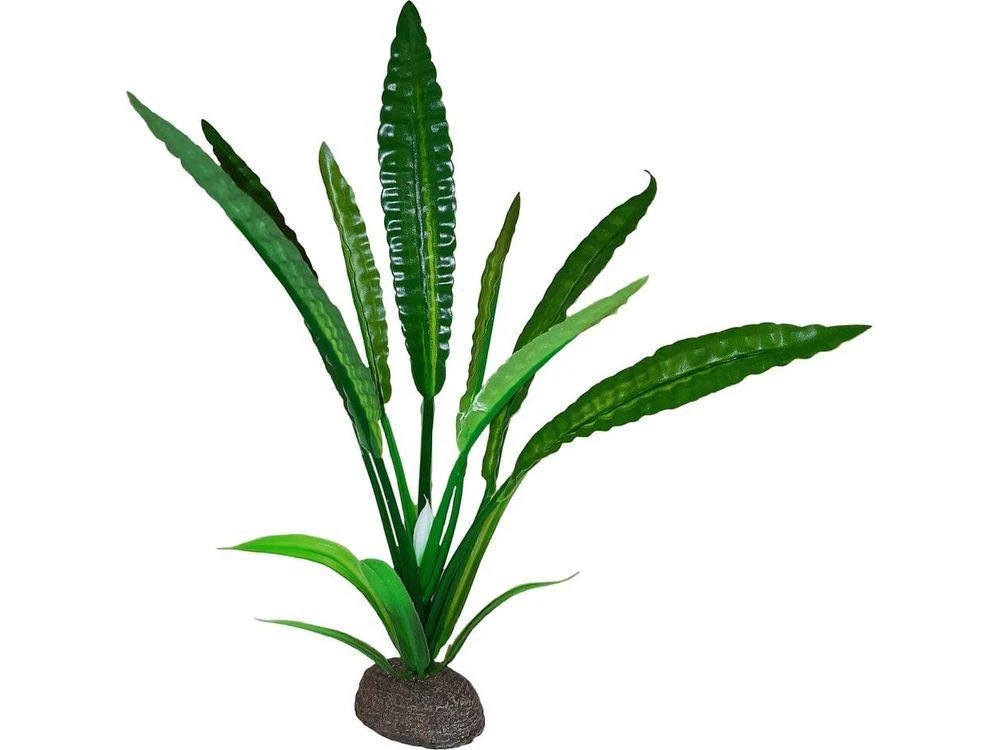 Fluval Betta Water Trumpet Plant - 20 cm (8 in)