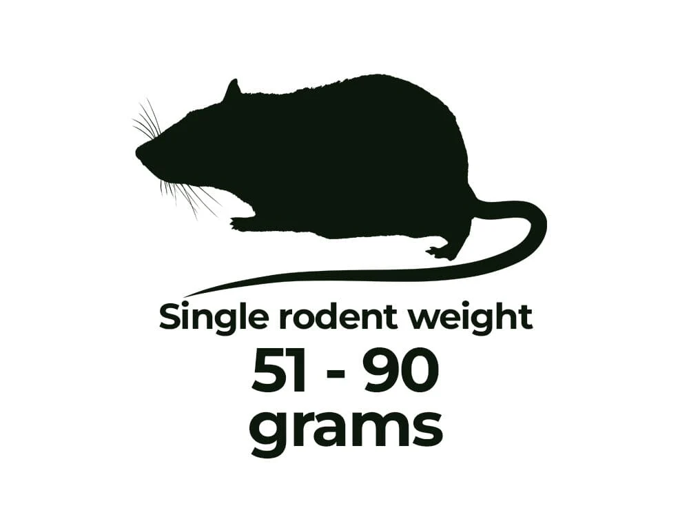 Frozen Rodents FREE SHIPPING - Image 18