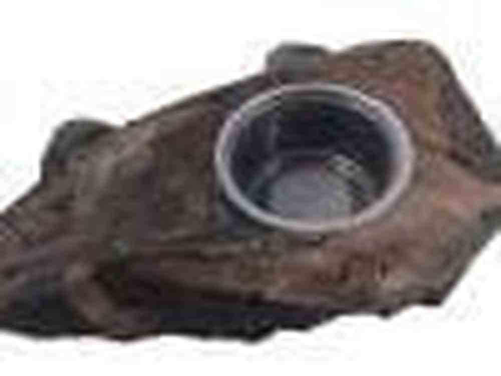 Magnaturals Gecko Ledge - Earth w/ one cup