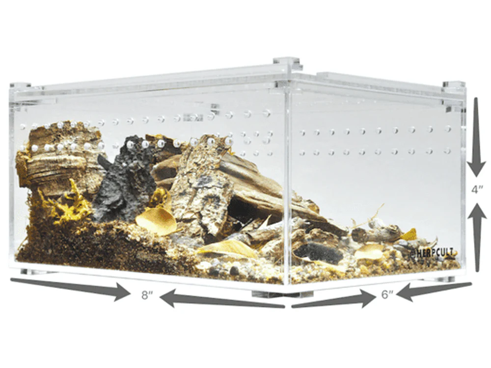 Herpcult Acrylic Enclosure  Small-Flat   8"x6"x4"