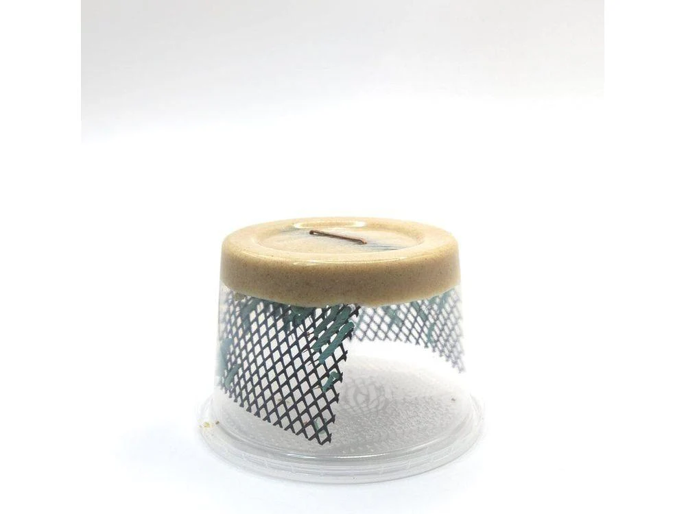 Hornworms - Image 9