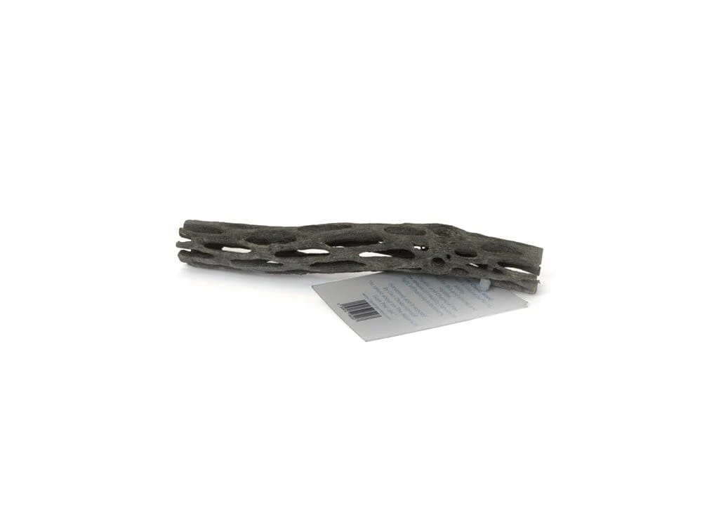 LG Cholla Wood 6in - Image 2