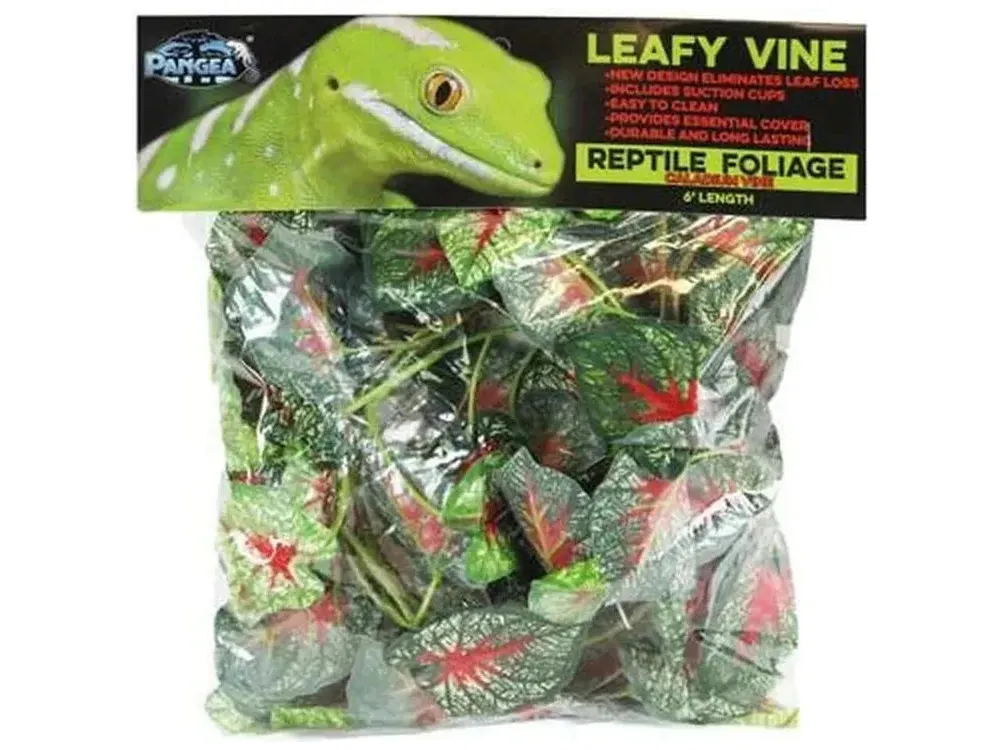 Pangea Leafy Vine Caladium (6ft)