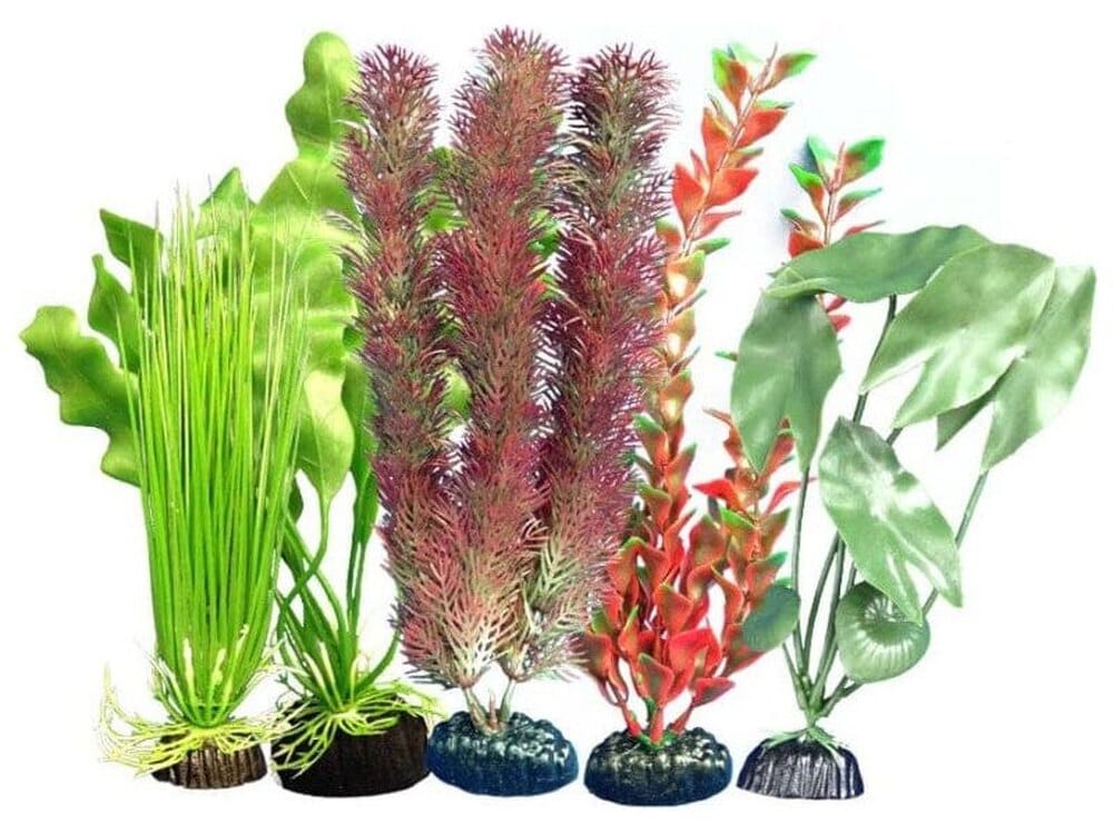 Weco Products Freshwater Aquarium Plant 105 Assorted, 1ea/Multipack - Image 2