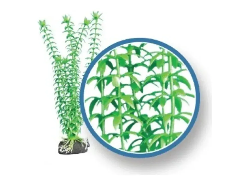 Weco Wonder Plant Freshwater Pro, Tonina 9"