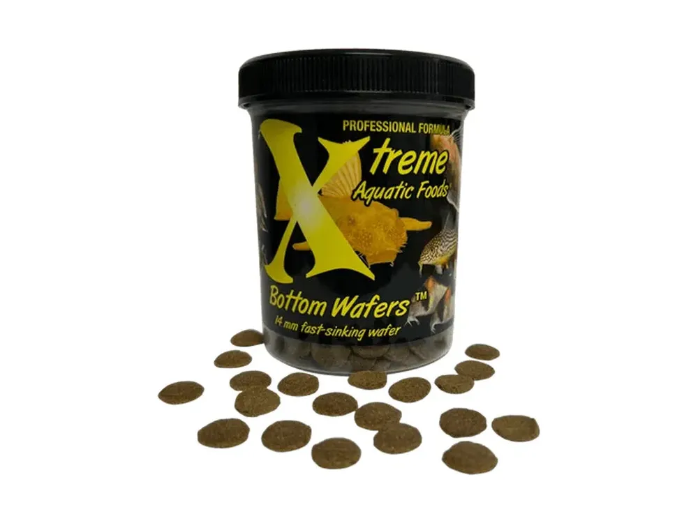 Xtreme Bottom Wafer 14mm, 5oz